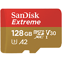 SCHEDA DI MEMORIA SANDISK SDSQXAA-128G-GN6AA