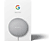 GOOGLE Enceinte connectée Nest Mini Rock Candy (GA00638-EU)