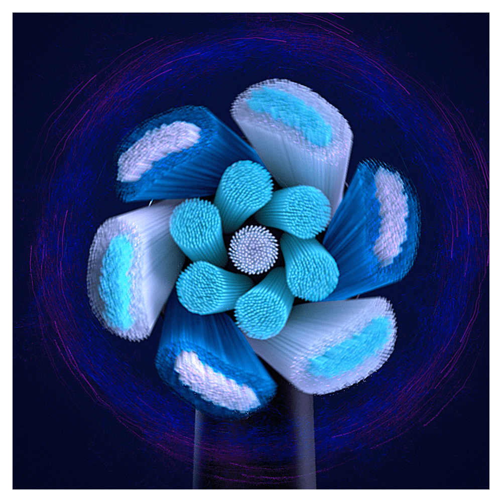 Primer plano del cabezal del cepillo de dientes eléctrico con cerdas azules y blancas en forma de flor.