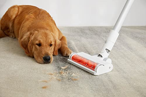 Perro Golden Retriever acostado junto a un cabezal de aspiradora sobre una alfombra.