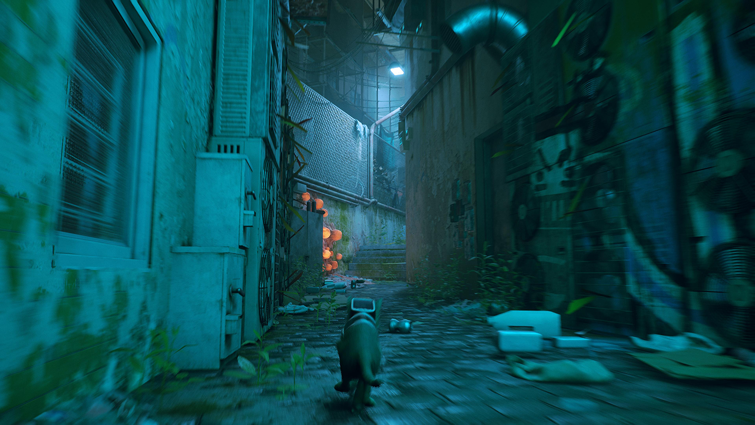 Stray | PlayStation 5