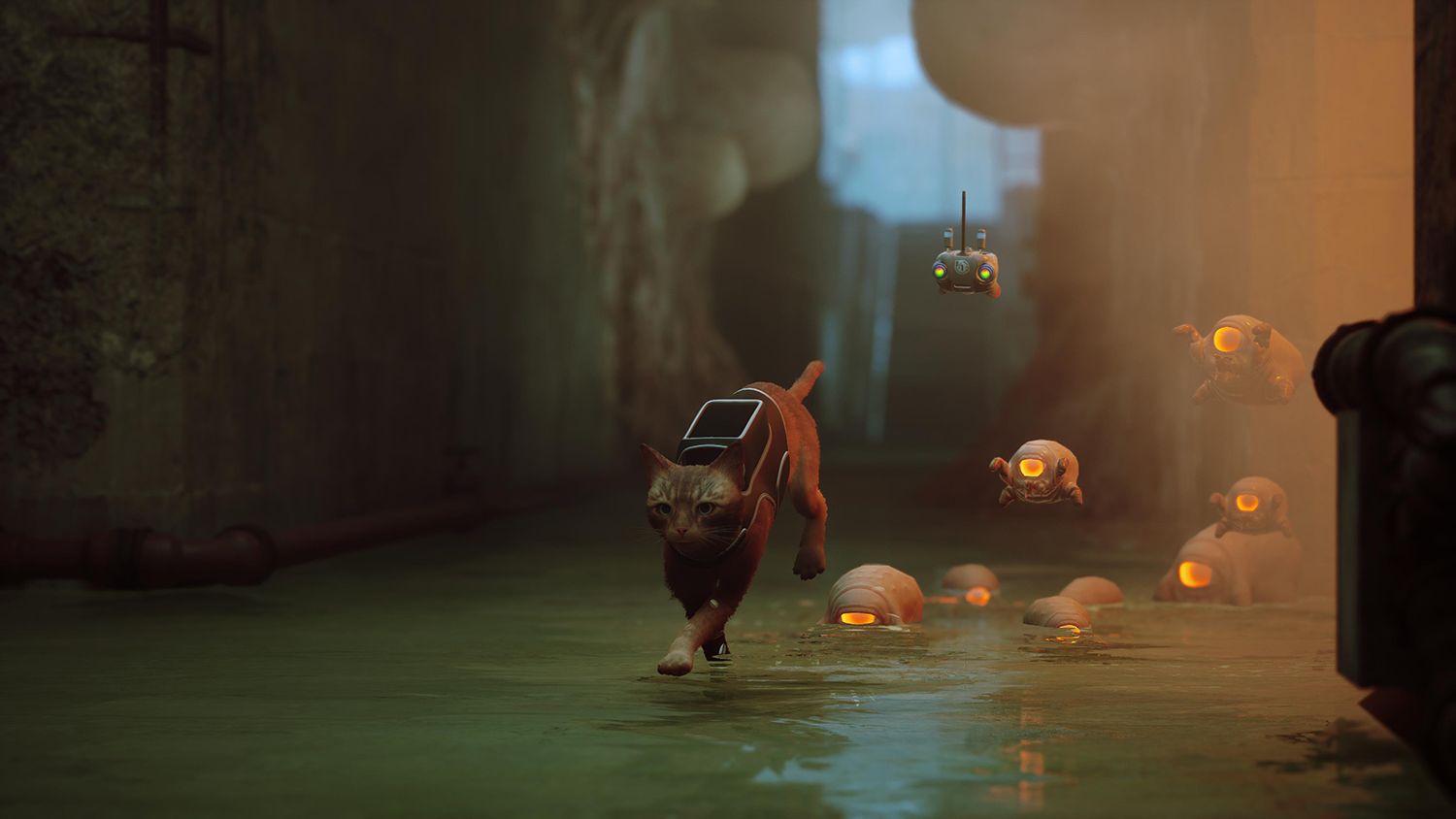 Stray | PlayStation 5