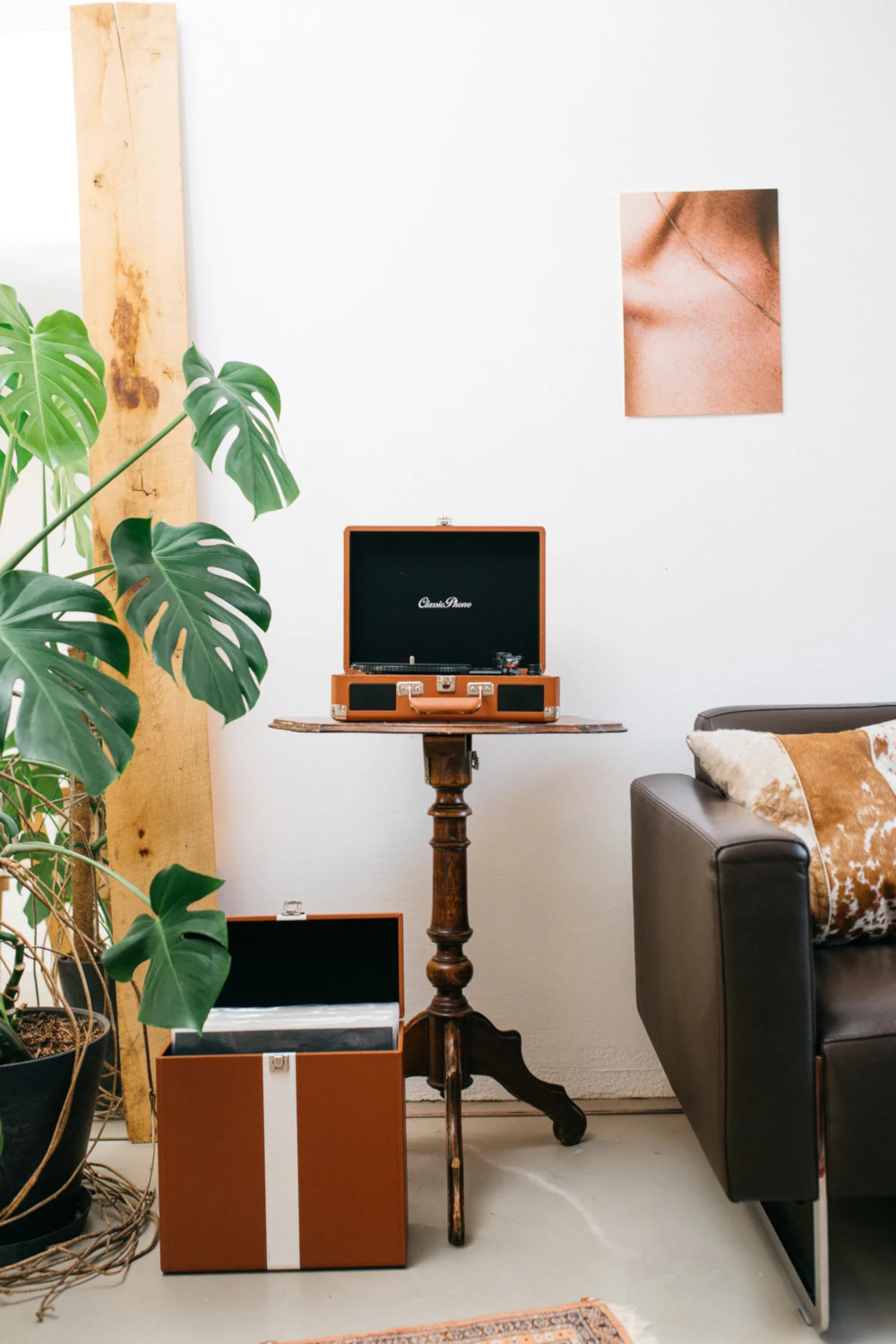 A brown record player on a table, a brown box, and a large green plant are visible.