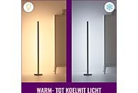 WIZ Vloerlamp Pole Gekleurd en Wit Licht