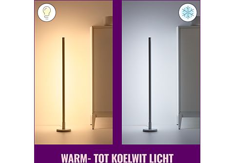 WIZ Vloerlamp Pole Gekleurd en Wit Licht