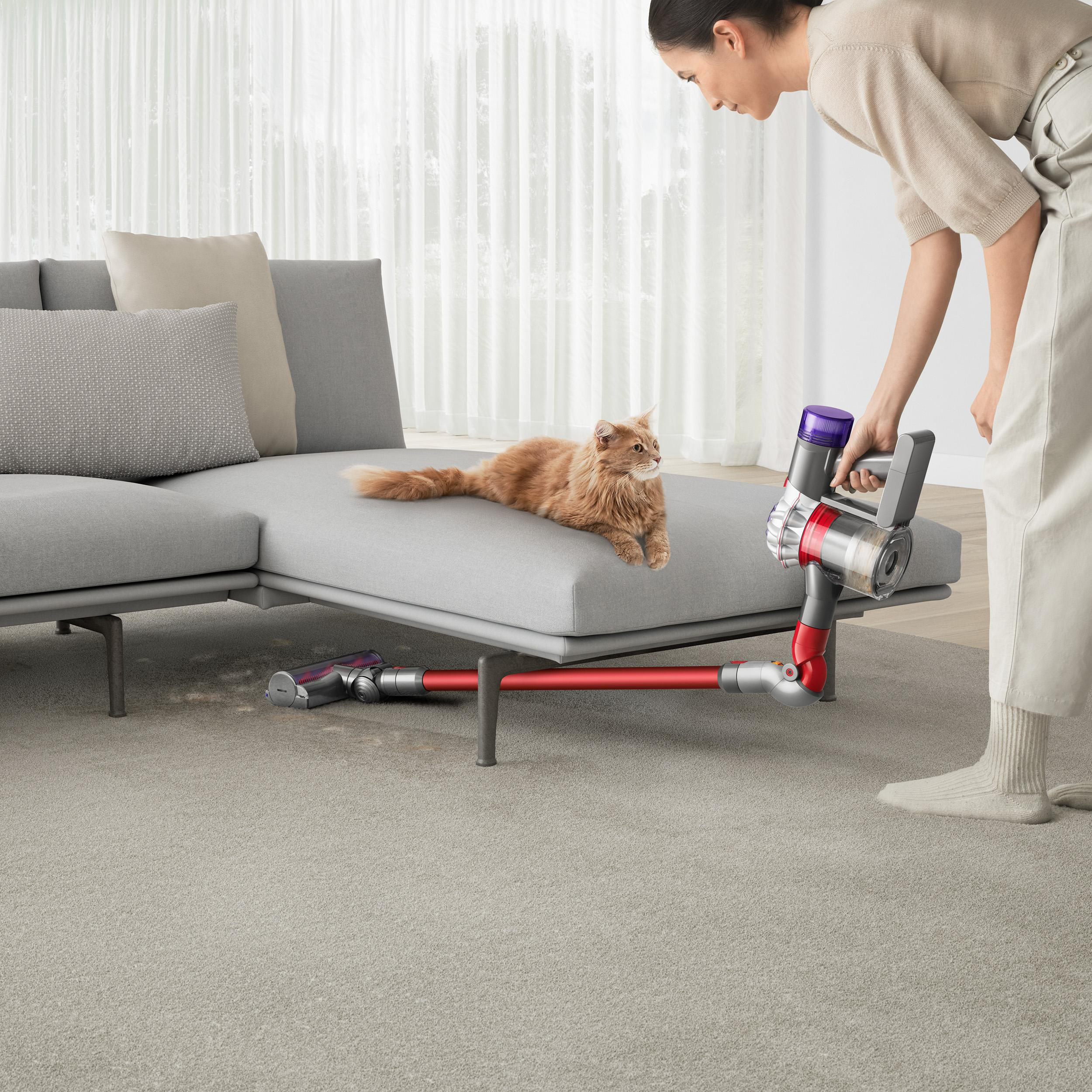 Eine Person saugt mit einem kabellosen Staubsauger in der Nähe einer Katze auf einem grauen Sofa.