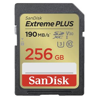 SANDISK SDSDXWV-GNCIN EXTR.PLUS 2, SDXC Speicherkarte, 256 GB, 190 MB/s