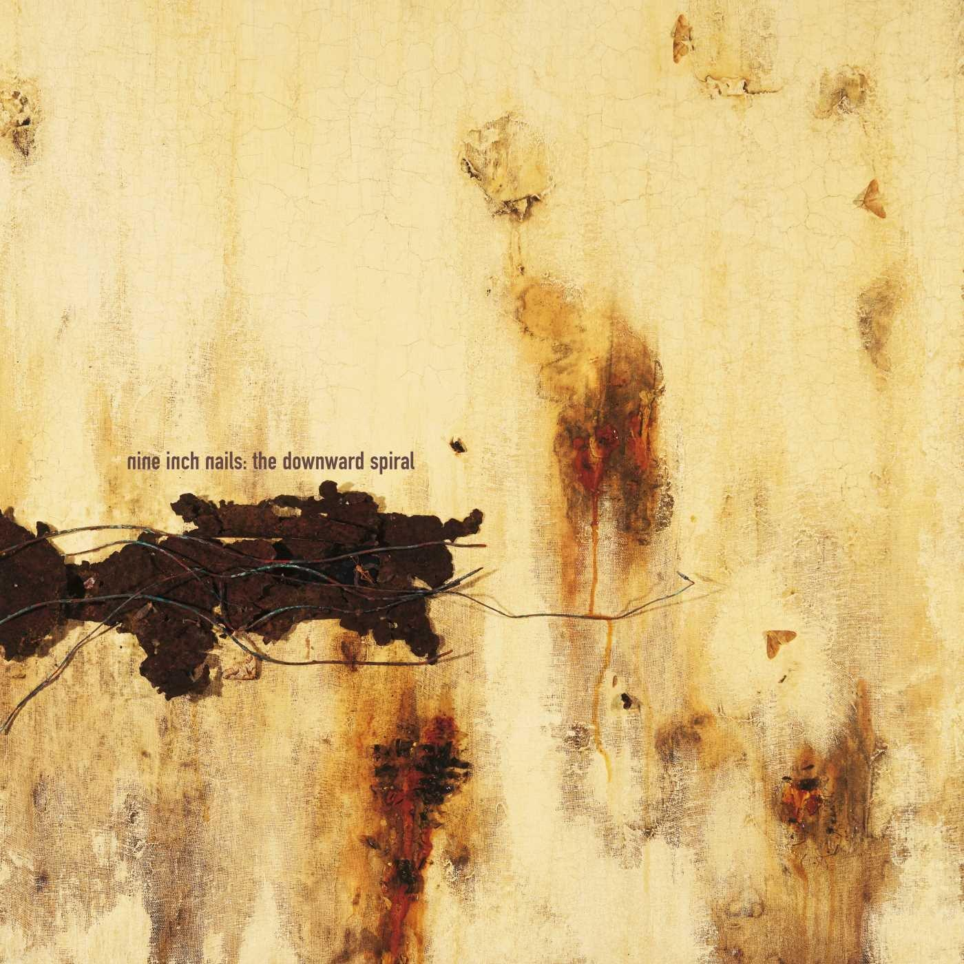 Industrial Rock Nine Inch Nails Vinyl Records Nine Inch Nails