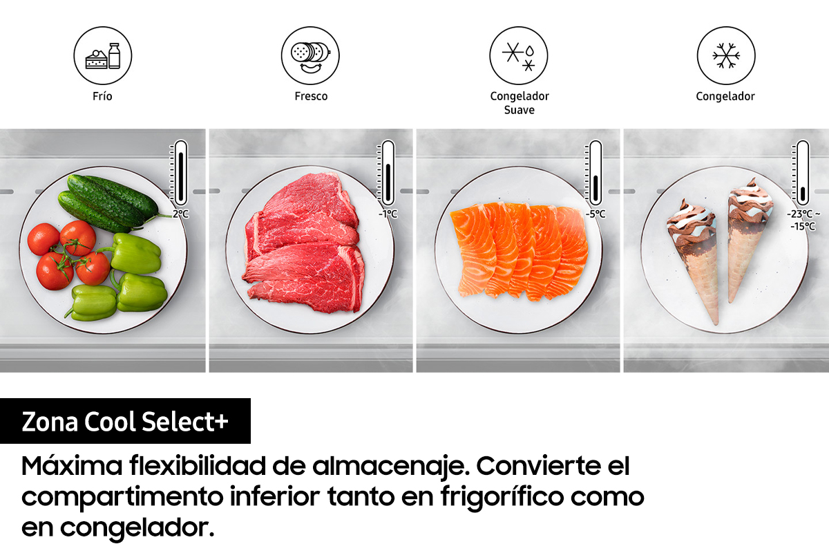 Interior de un refrigerador con secciones que muestran verduras, carne, pescado y helado.