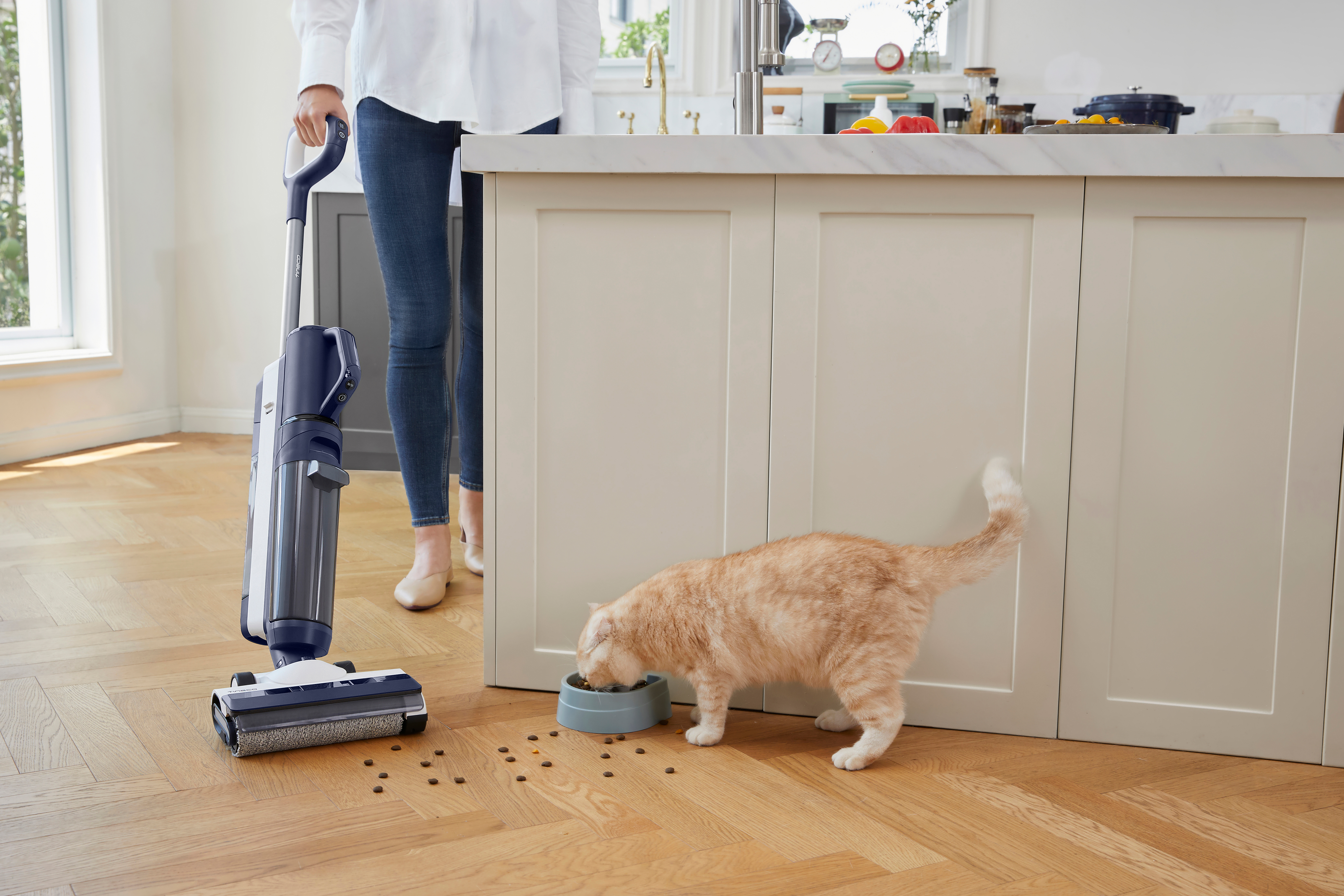 Bir kadın süpürüyor. Bir kedi yerden bir kaptan yemek yiyor. Bir elektrikli süpürge dikiliyor.