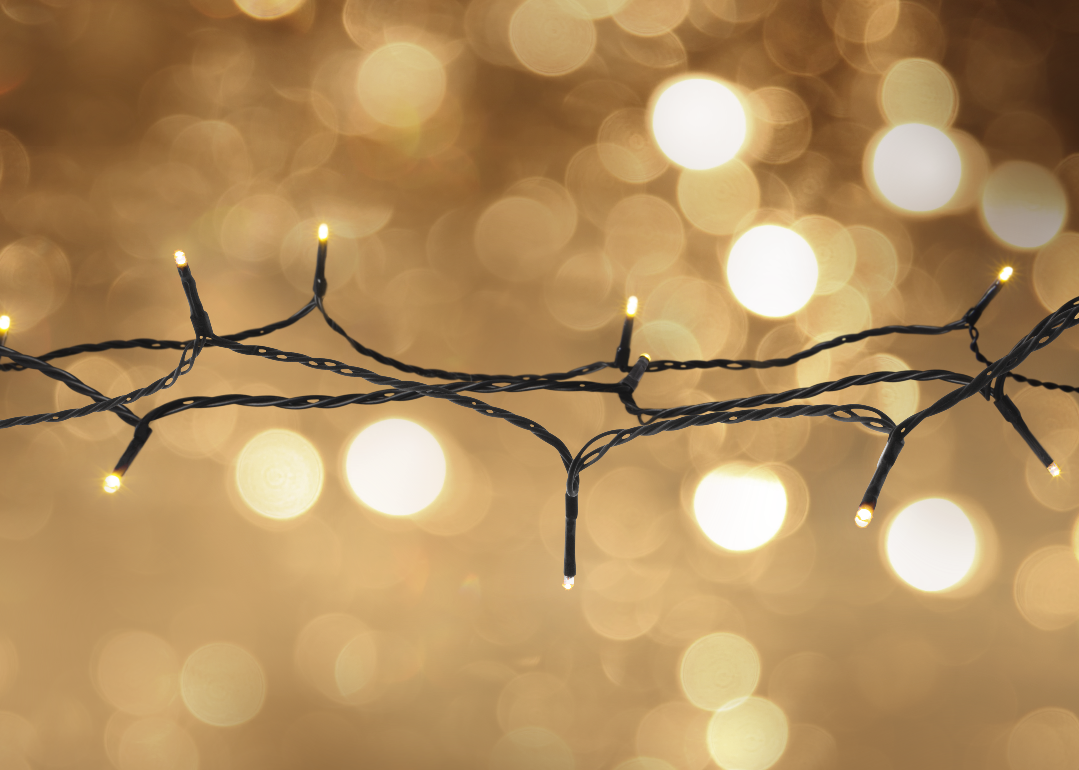 Lichterkette, warmgelbes Leuchten, verschwommener Hintergrund. Schwarze Drähte mit kleinen Lichtern. Bokeh-Effekt im Hintergrund.