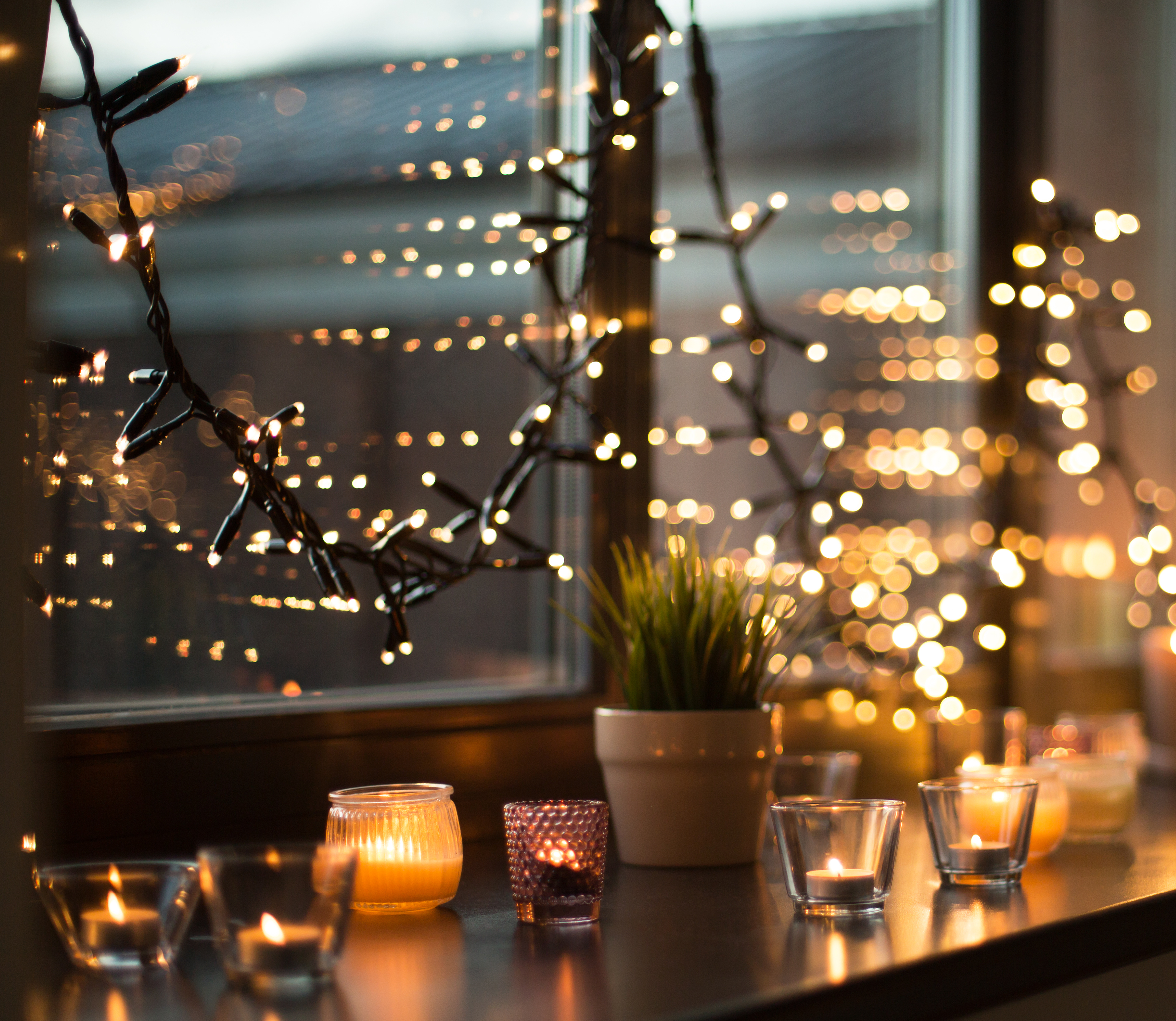 Fenster mit Lichterketten und Kerzen. Eine kleine Pflanze steht auf der Fensterbank. Lichter sind verschwommen.