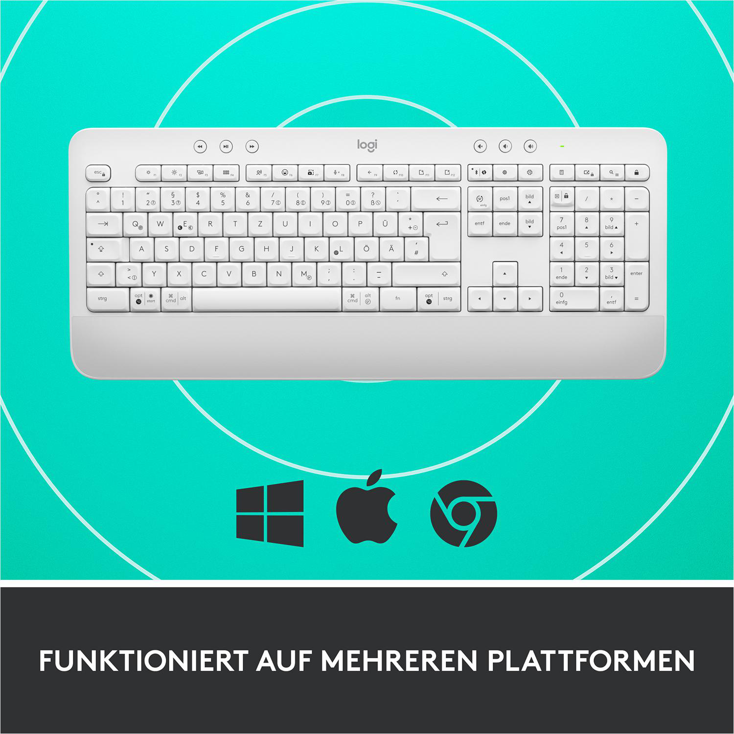 OFF-WHITE kabellos, LOGITECH Tastatur, Signature Comfort, K650