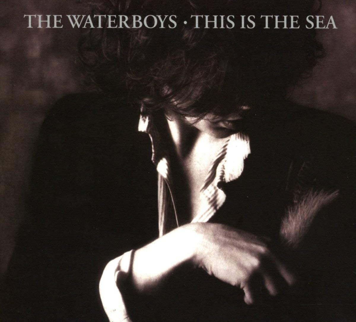 The Waterboys - This Is Sea (Collector's Edition) (Digipak) (CD)