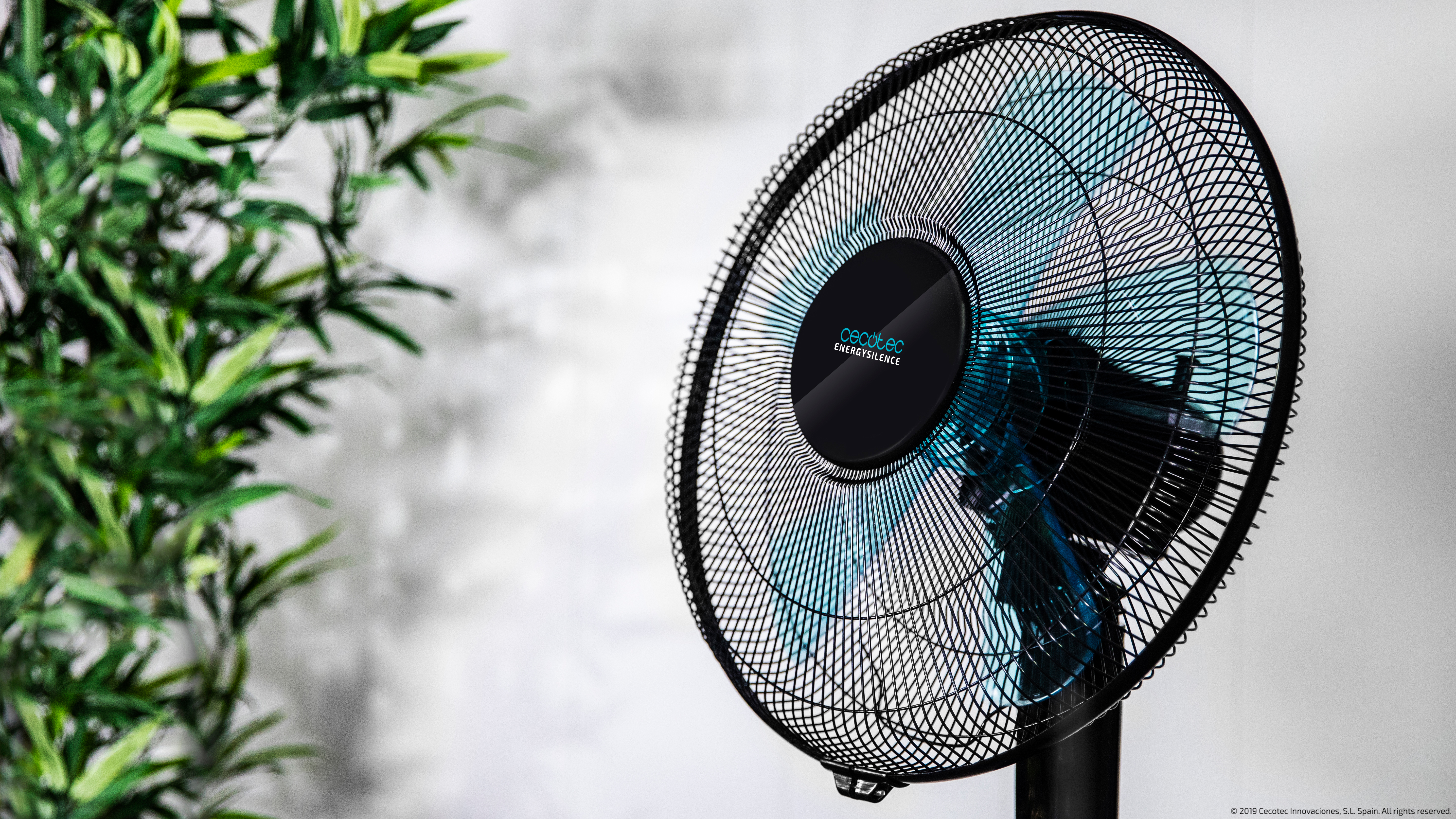 Primer plano de un ventilador de pie negro y una planta.