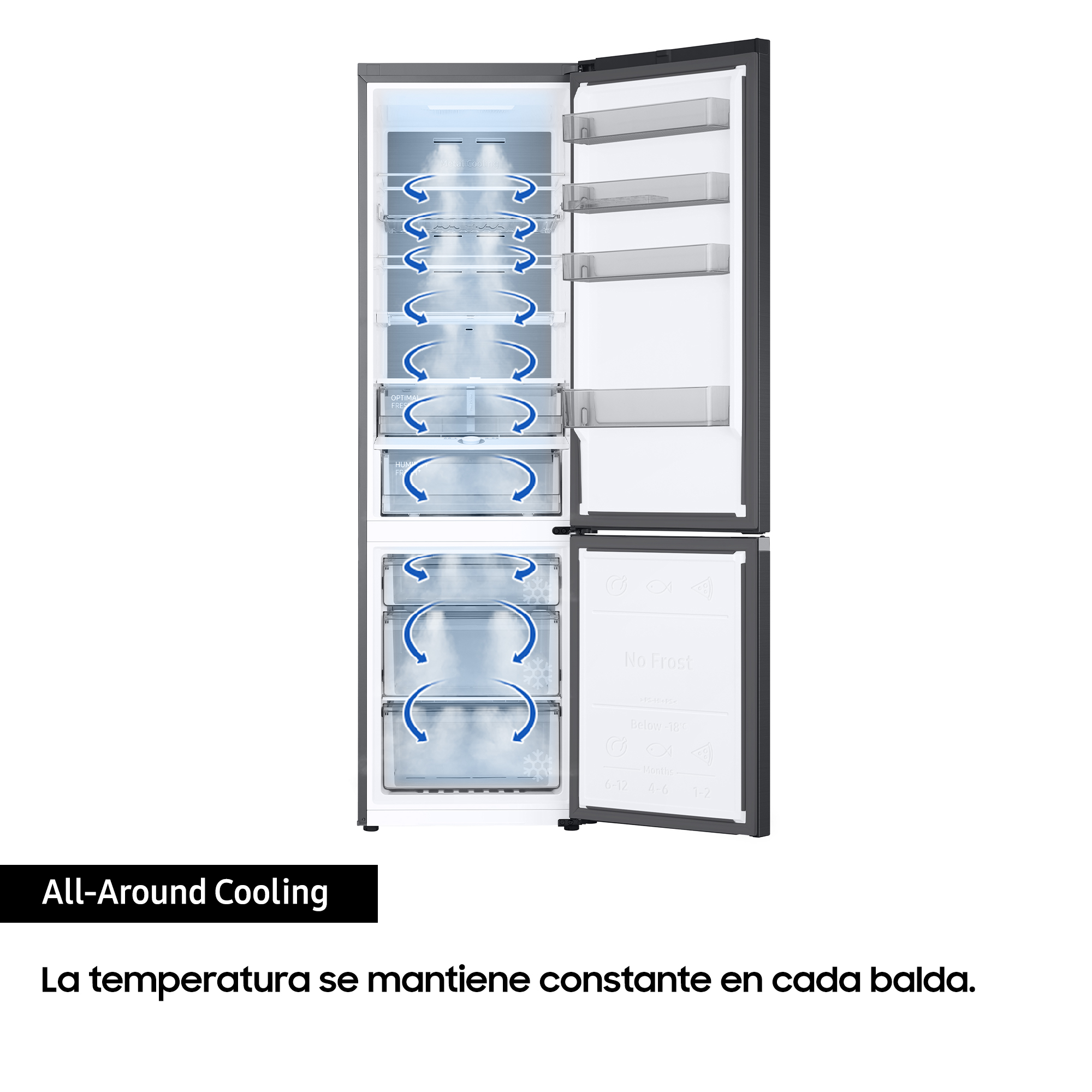 Un refrigerador con las puertas abiertas que muestra el interior y el flujo de aire.
