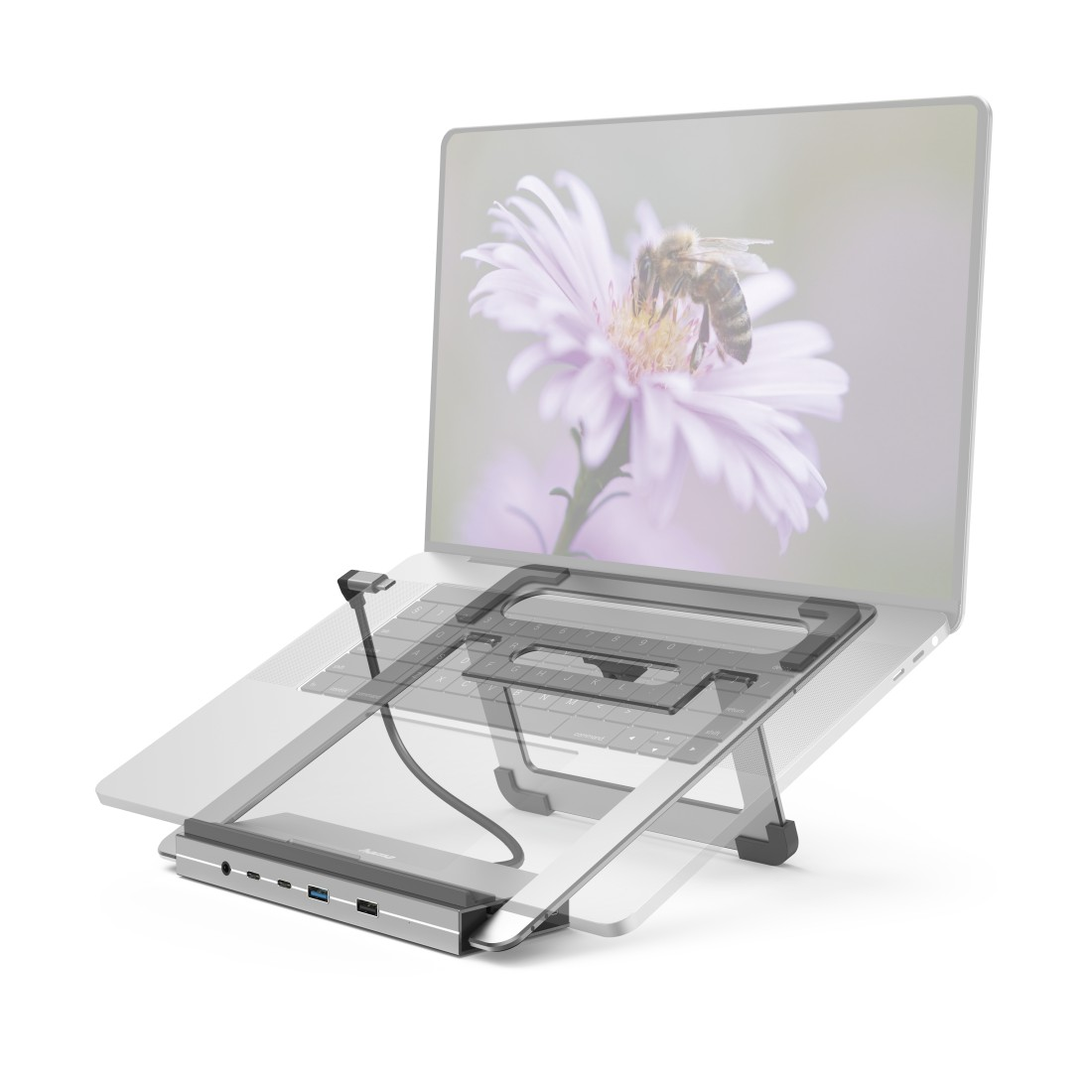 Laptop mit Laptopständer und Hub. Der Laptop zeigt eine Blume mit einer Biene.