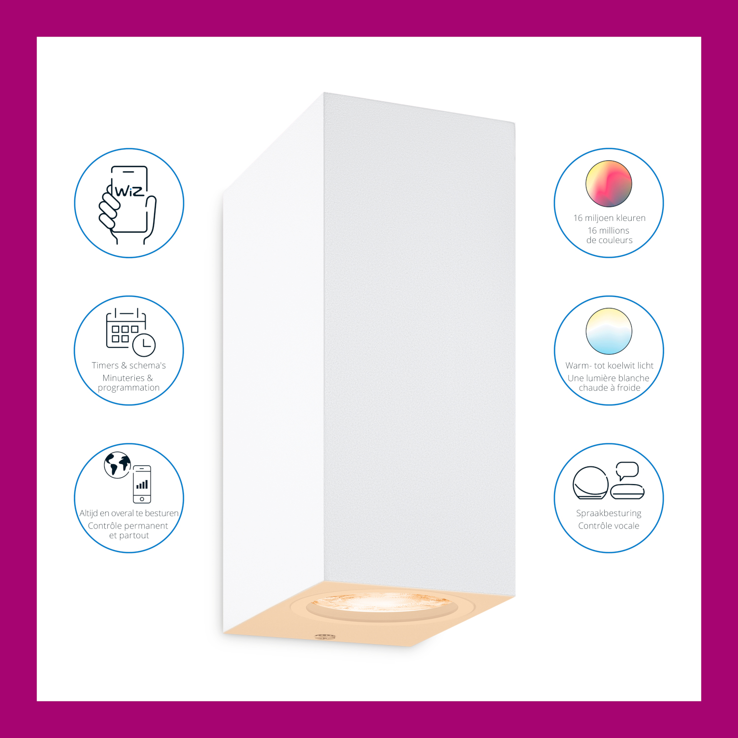 Witte wandlamp met pictogrammen die slimme functies aangeven, zoals spraakbesturing en kleuraanpassing.
