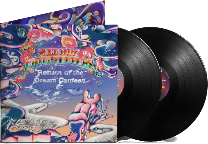 Vinylalbum mit zwei schwarzen Schallplatten und einem farbenfrohen Cover mit Blumen und Kunst.