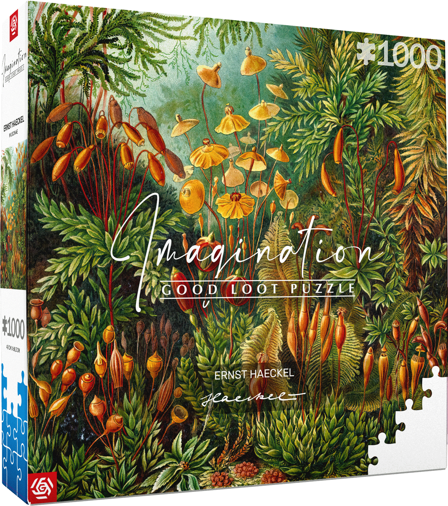 Imagination: Ernst Haeckel - Muscinae 1000 db-os puzzle