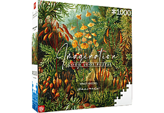 Imagination: Ernst Haeckel - Muscinae 1000 db-os puzzle
