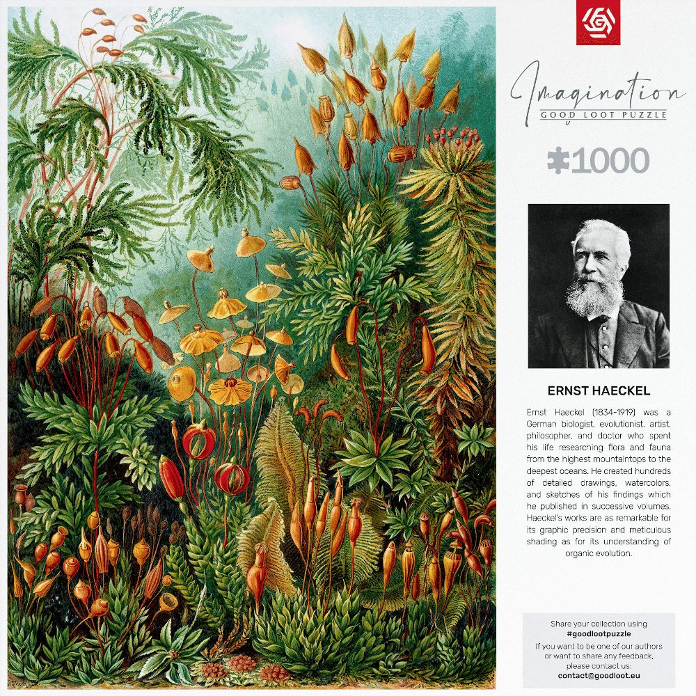 Színes illusztráció különböző növényekről Ernst Haeckel portréjával és kirakós részletekkel.