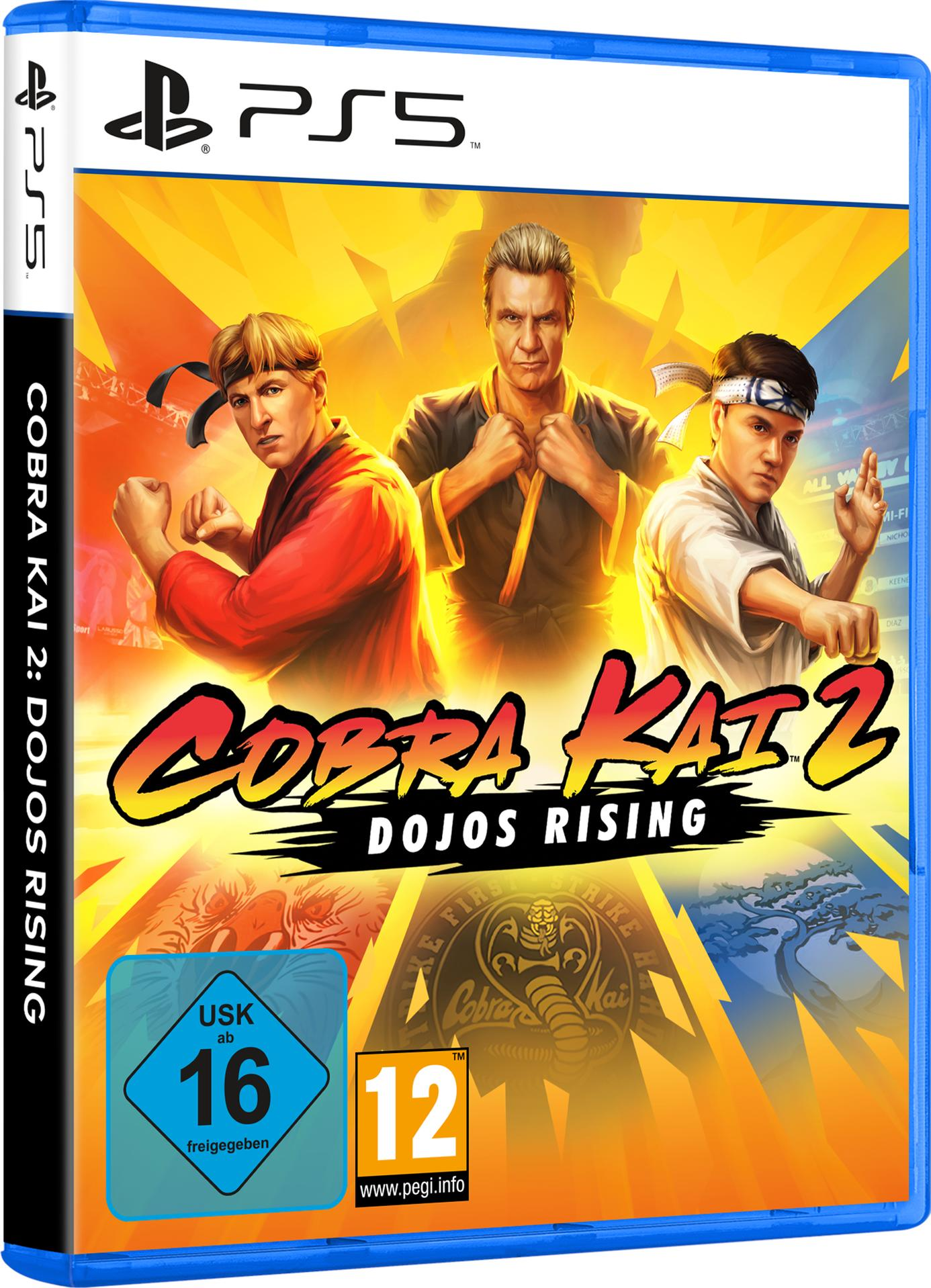 Videospiel-Boxart: Cobra Kai 2: Dojos Rising. Blaue Hülle, drei Charaktere.