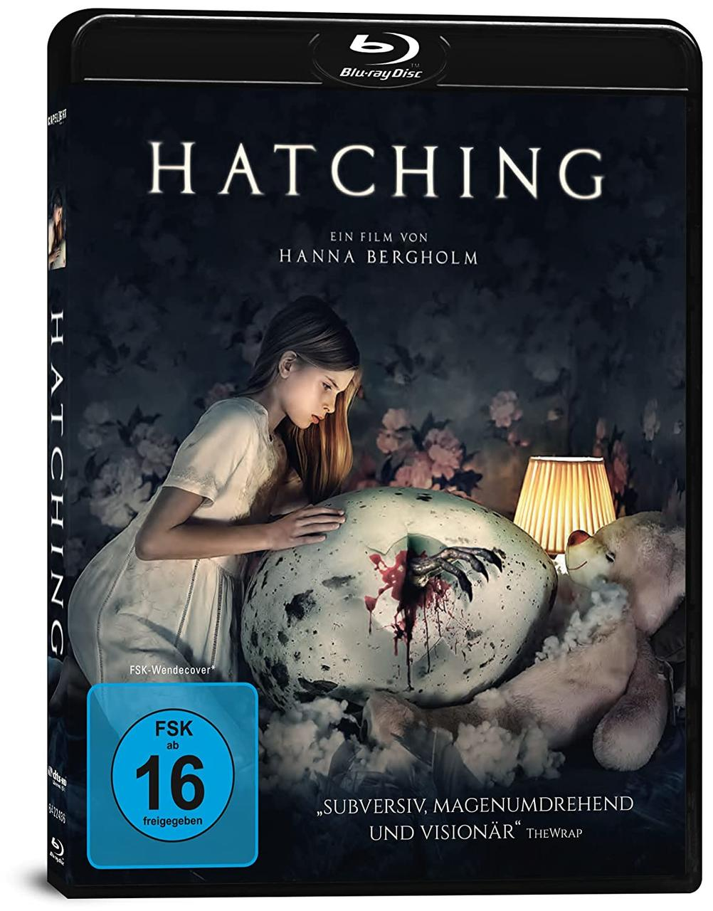 Ein DVD-Cover zeigt ein Mädchen und ein zerbrochenes Ei. Es hat einen dunklen Hintergrund und Text.