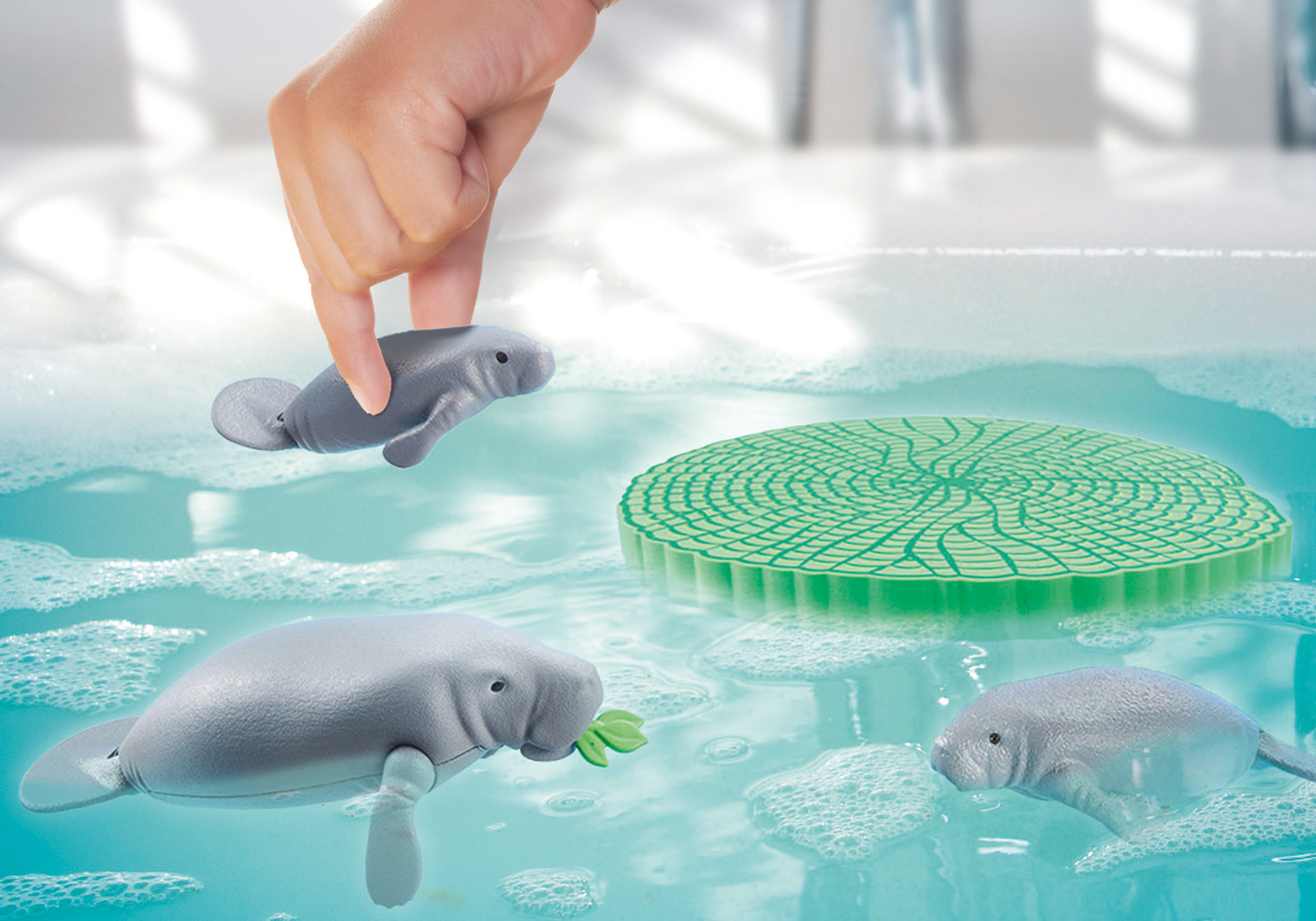 Hände halten Spielzeug-Manatis in sprudelndem Wasser. Ein Manati hält ein Blatt. Grünes, rundes Objekt.