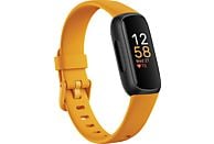 FITBIT Inspire 3, Fitness Tracker, S und L, Morning Glow/Black