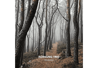 Hornung Trio - Strukturen  - (CD)