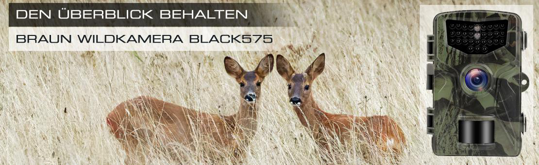 Zwei Rehe im Feld mit Wildkamera, Text: 'DEN ÜBERBLICK BEHALTEN'.