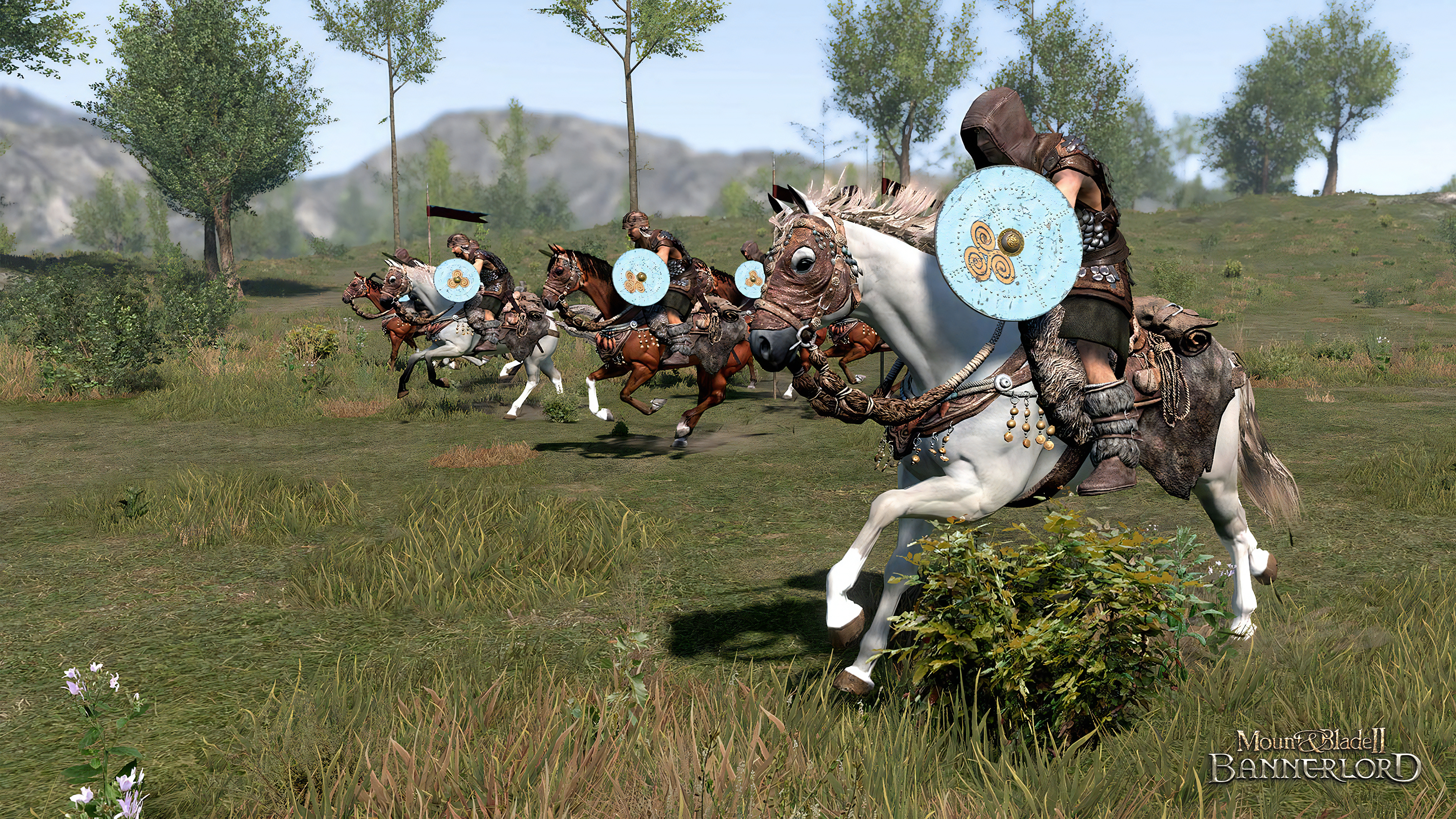 Mount & Blade II: Bannerlord - PC - Allemand