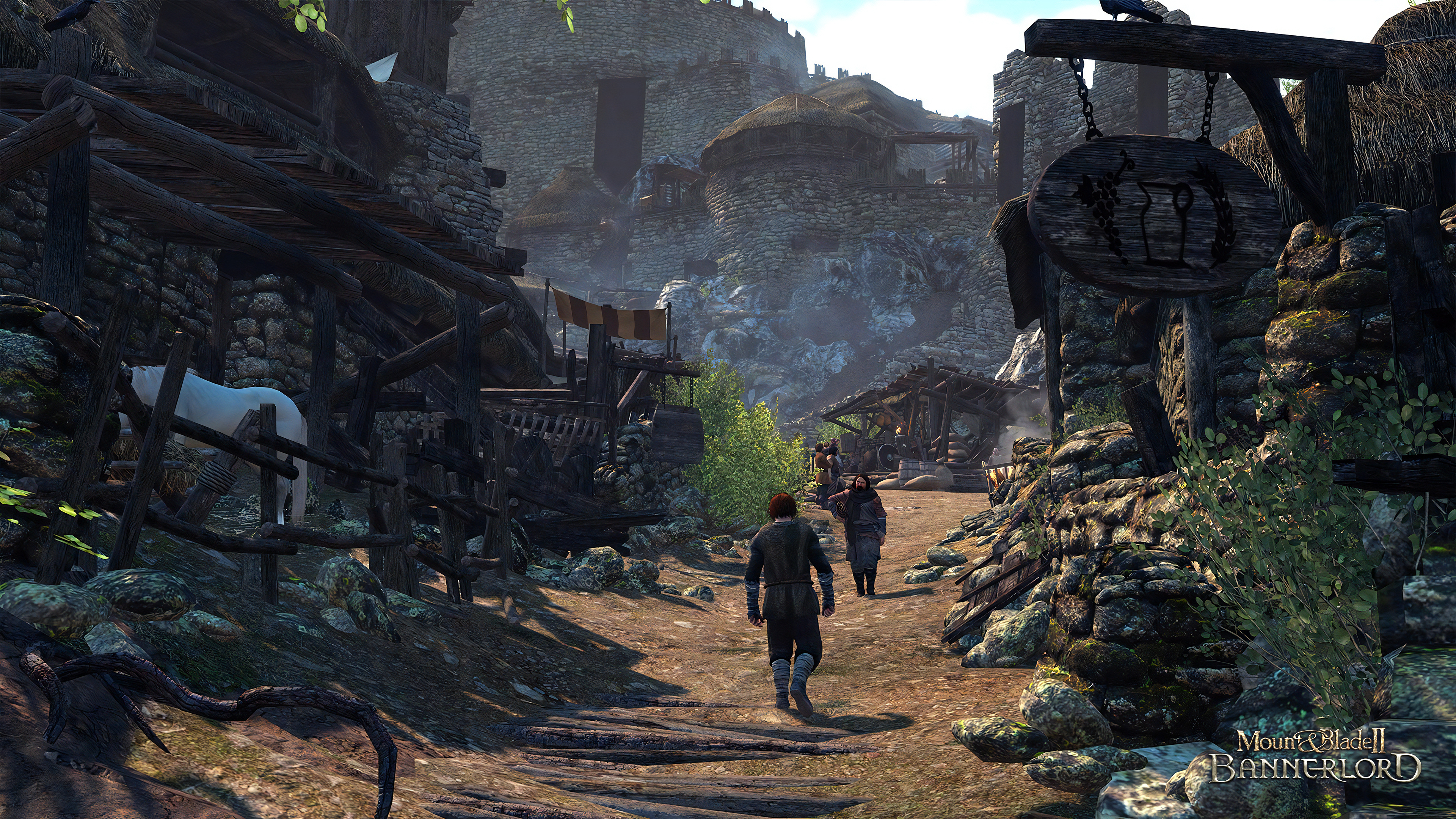 Mount & Blade II: Bannerlord - PC - Allemand
