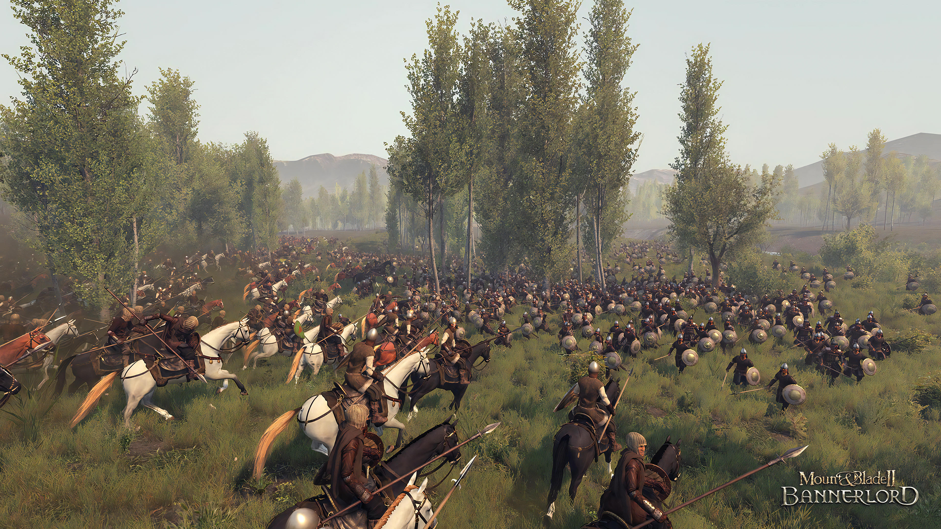 Mount & Blade II: Bannerlord - PC - Allemand