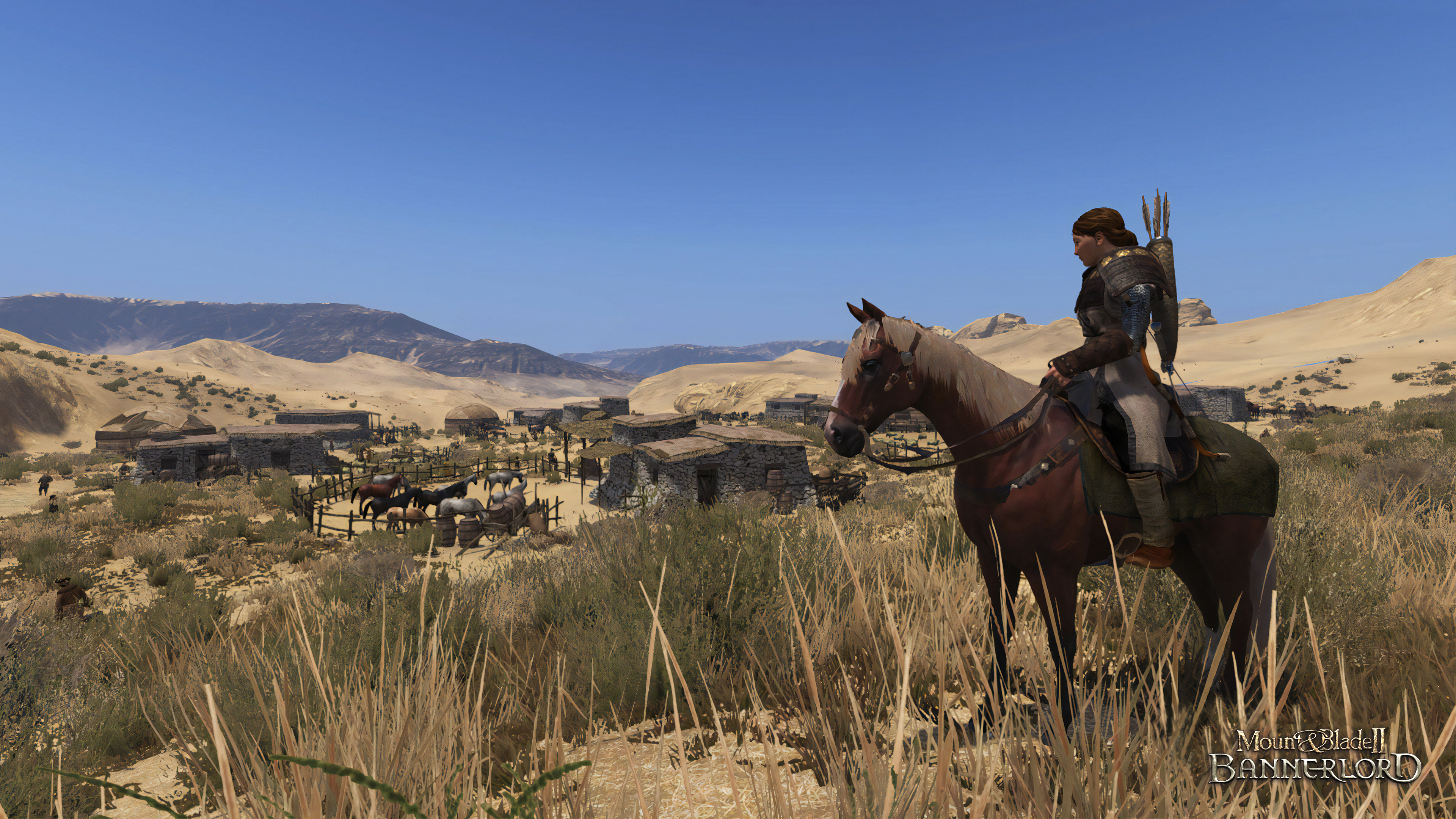 Mount & Blade II: Bannerlord - PC - Allemand