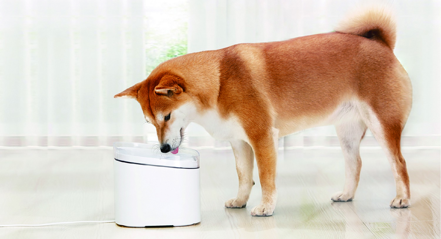 Fuente de agua automática - Xiaomi Smart Pet Fountain, 2l, 24h automática, Control por app, Blanco