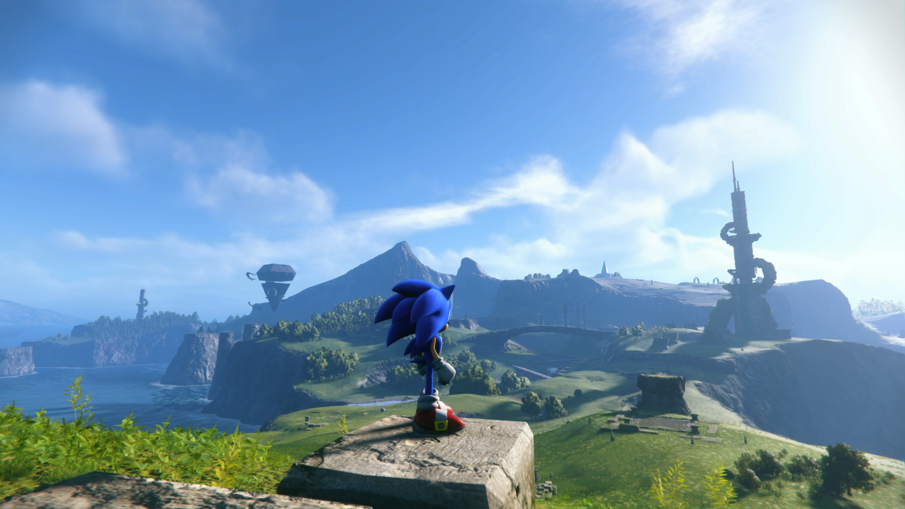 Sonic the Hedgehog betrachtet die Landschaft.