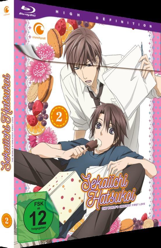 Anime-DVD-Box-Set von Sekaichi Hatsukoi mit zwei Charakteren auf dem Cover.