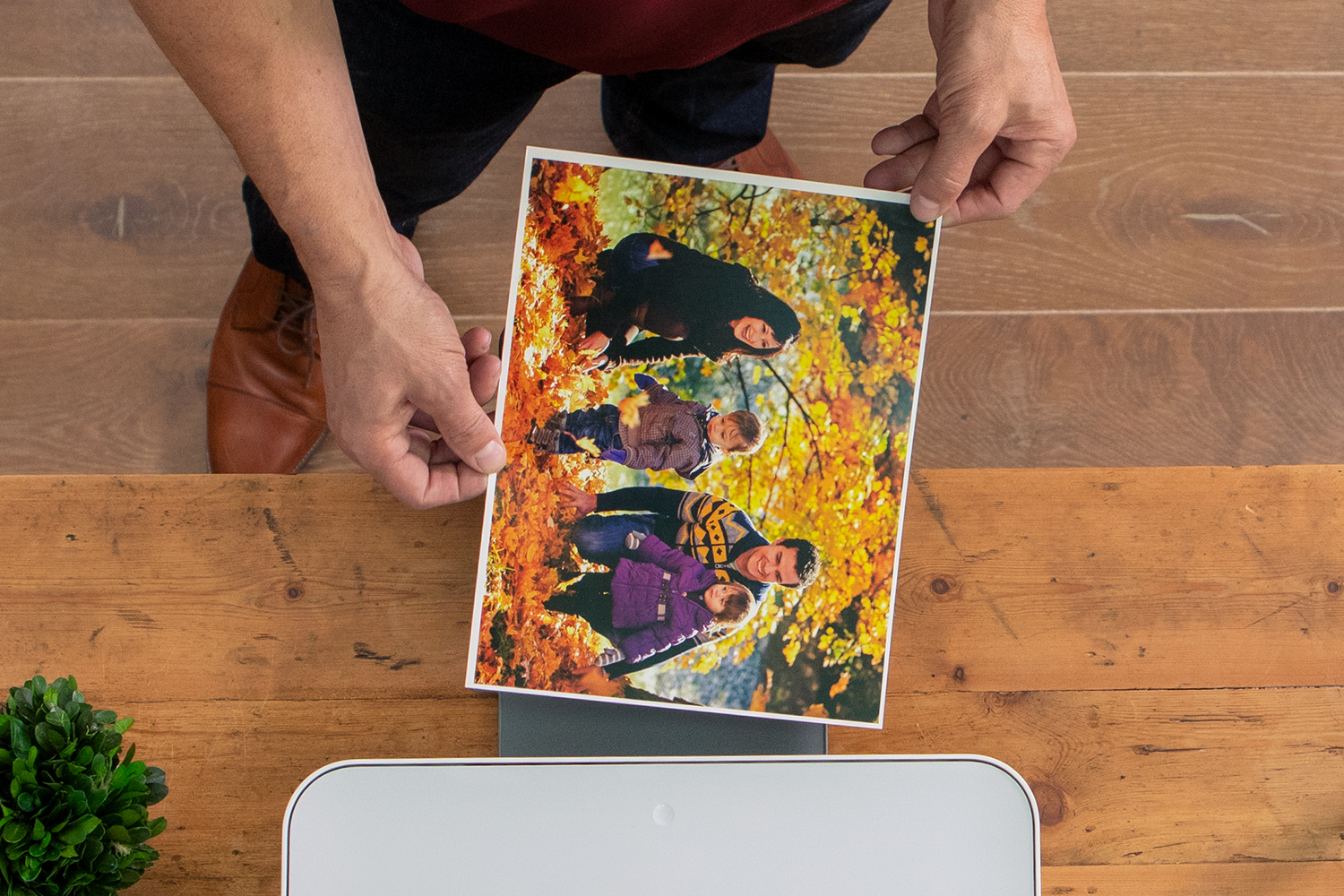 Personne tenant une photo de famille au-dessus d'une imprimante, table marron avec plante verte.