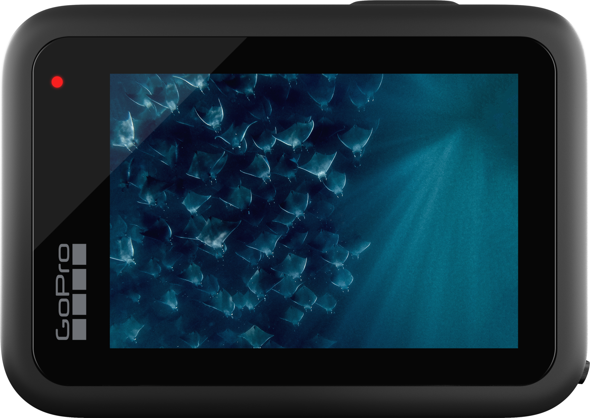 Eine GoPro-Kamera, die eine blaue Unterwasserszene mit vielen Fischen anzeigt.