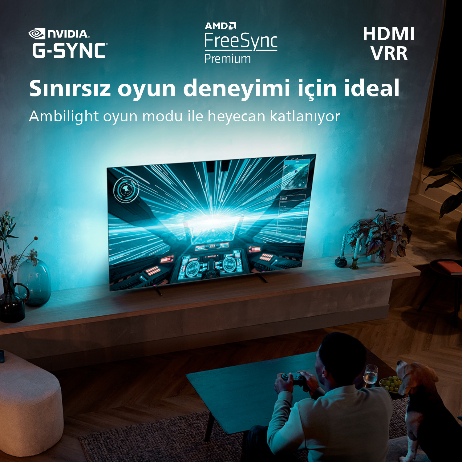TV'li bir oturma odası, oyun oynayan bir adam, bir köpek ve bazı bitkiler. TV'de bir oyun gösteriliyor.
