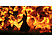 Xbox Series X - Hogwarts Legacy /D