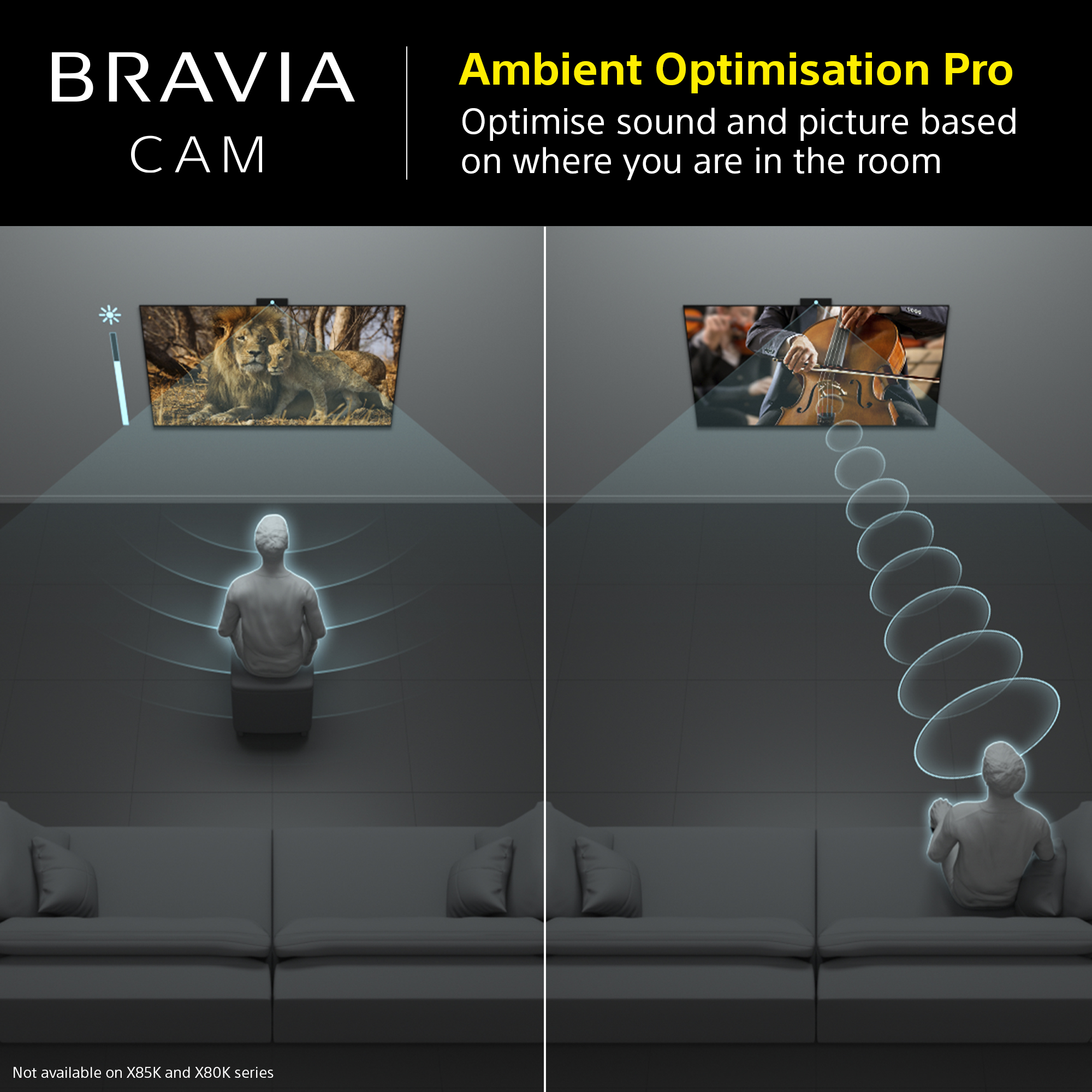 TV mit Bildern, mit einer Person auf einem Sofa und einem Raum, der von Lichtern beleuchtet wird. Text: 'Ambient Optimisation Pro'.
