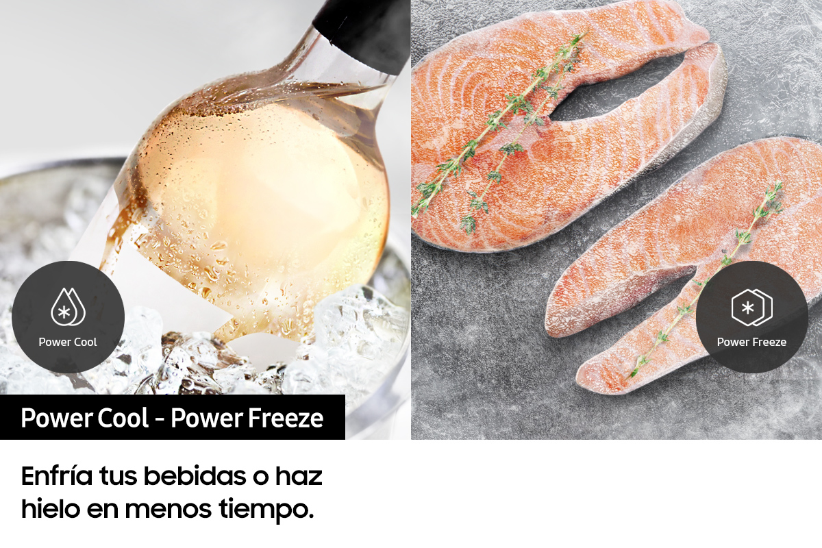 Una botella de vino en hielo. Filetes de salmón junto al icono de Power Freeze.