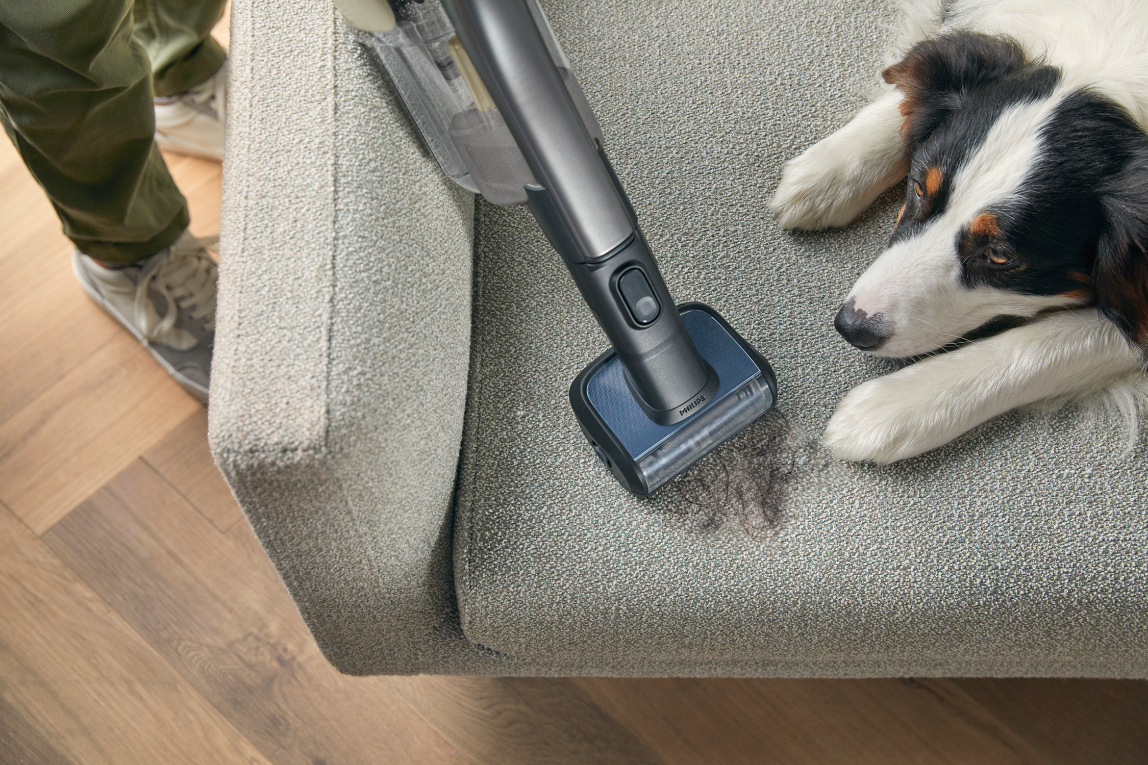 A person vacuuming a sofa with a pet dog lying next to it. The vacuum is cleaning dog hair.