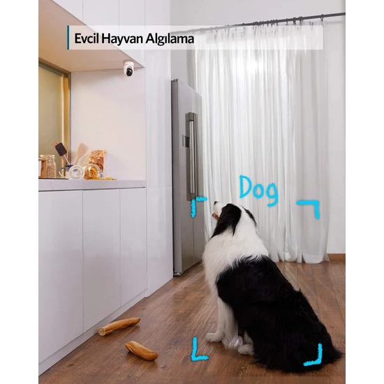 Bir köpek mutfakta yerde oturuyor, köpeği gösteren metin etiketleri ile.