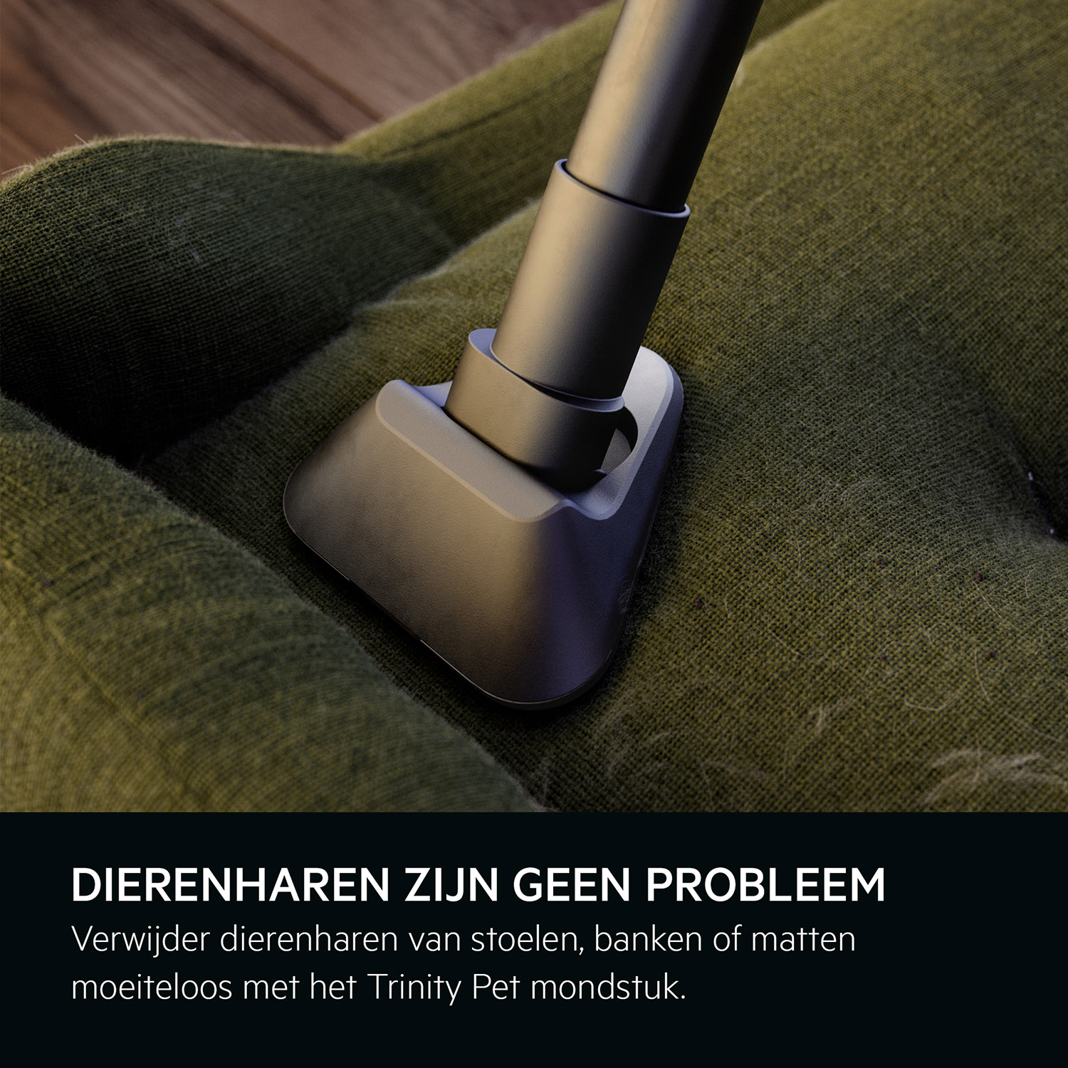 A vacuum cleaner head on a green surface. Text says: Animal hair is no problem.