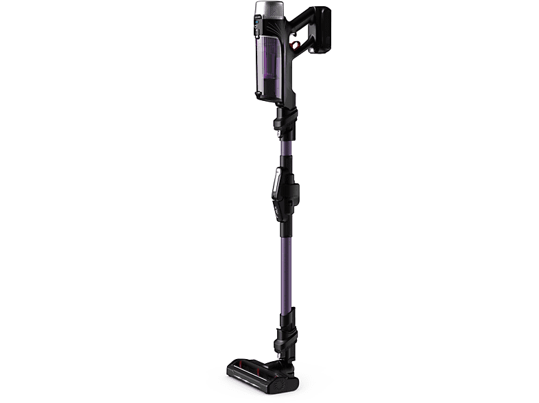 ROWENTA RH2039 X-Force Flex 9.60 Allergy Stielsauger, Akkubetrieb, 250 Watt