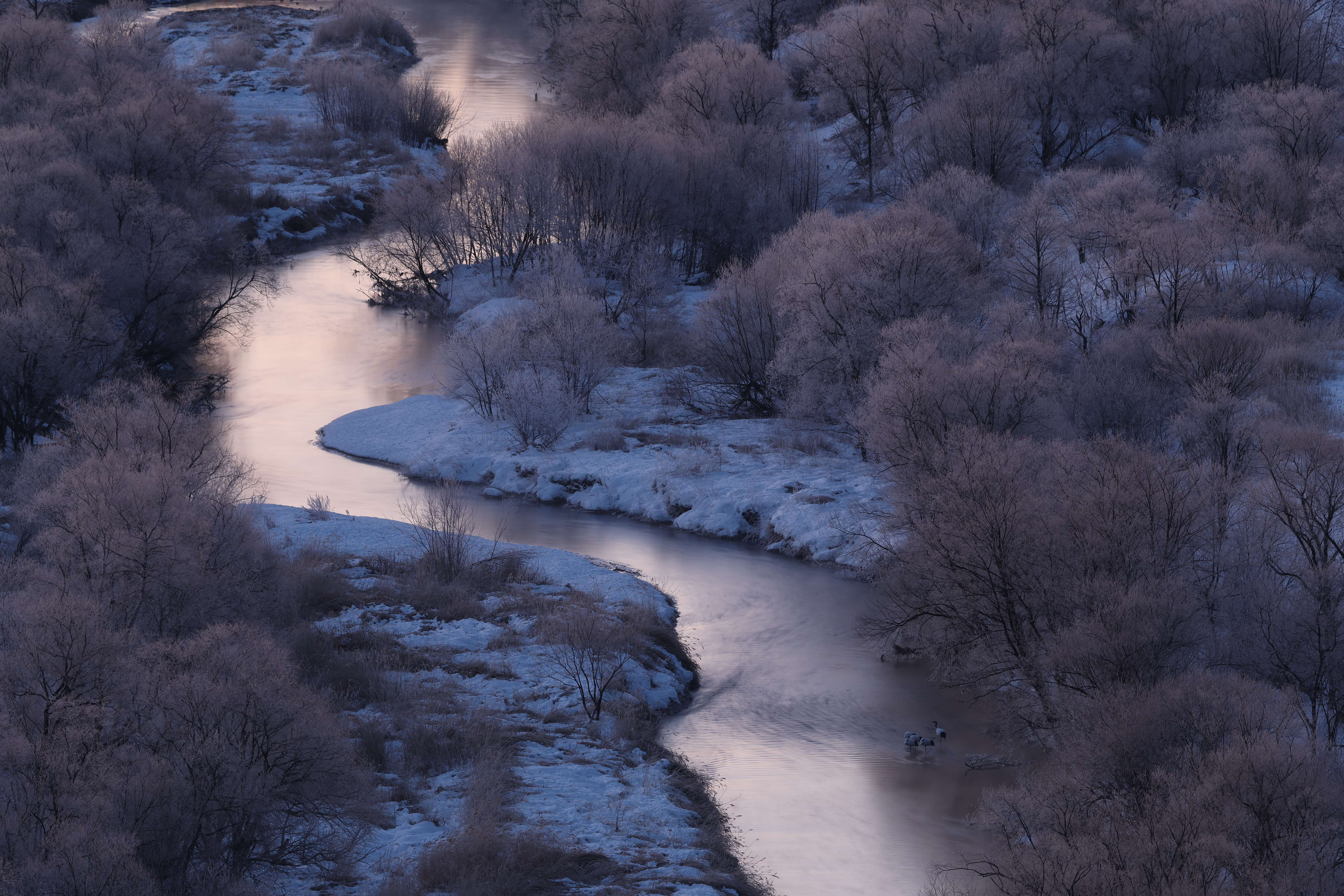 Ein gewundener Fluss fließt durch eine frostige, verschneite Landschaft mit kahlen Bäumen im winterlichen Licht.